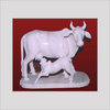 Manufacturers Exporters and Wholesale Suppliers of Animals Statue Jaipur Rajasthan